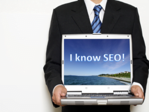 SEO Consultants SEO Consulting