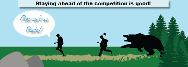 The Google Bear Website Analysis